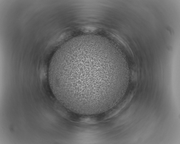 X0000114160561200910221611