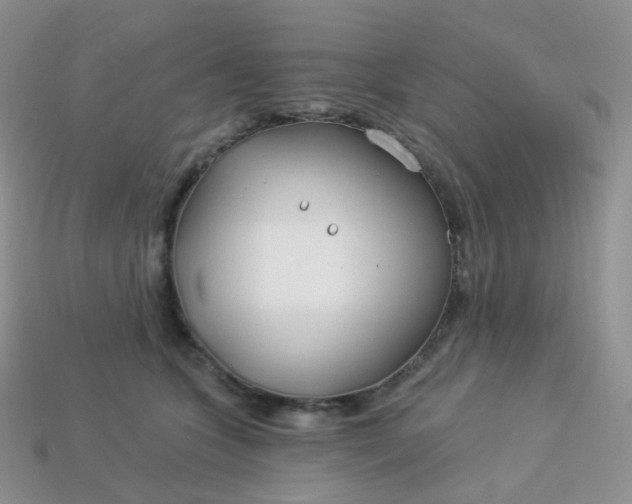 X0000114160563200910221611