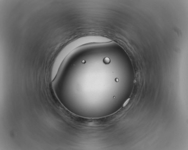 X0000114160564200910221611