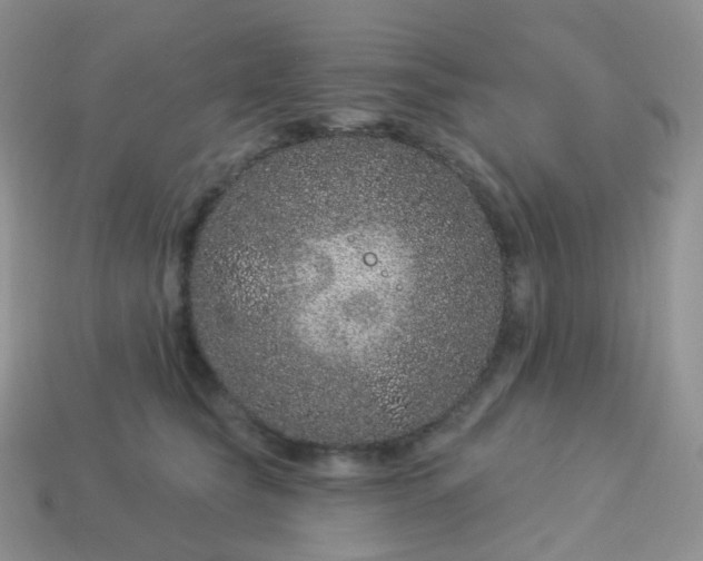 X0000114160565200910221611