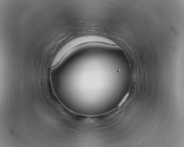 X0000114160566200910221611