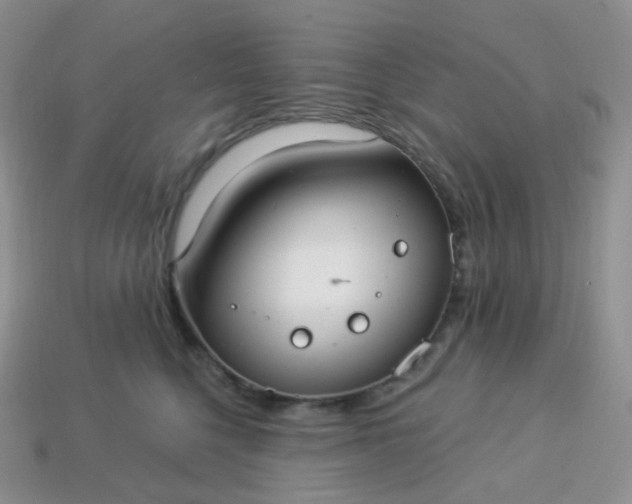 X0000114160568200910221611