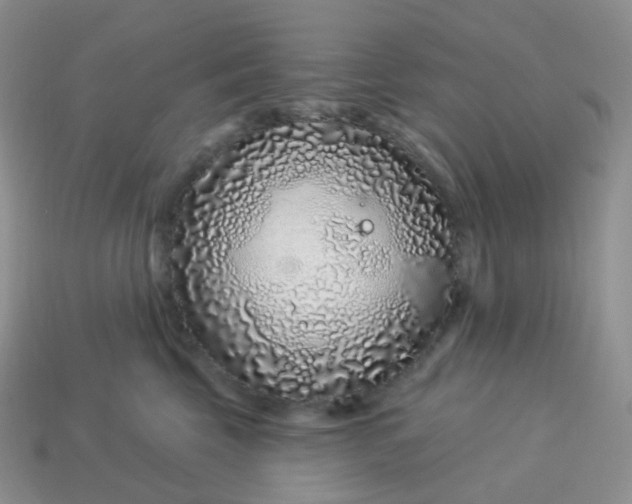 X0000114160569200910221611