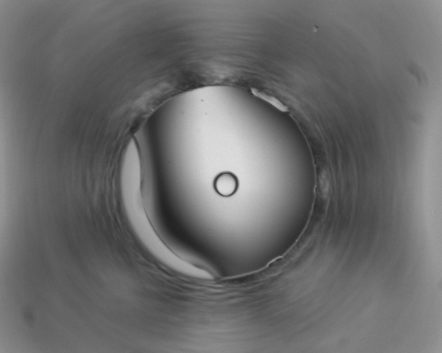 X0000114160570200910221611