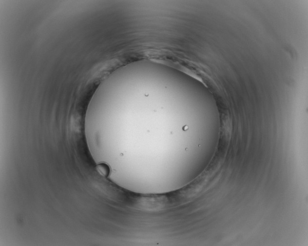 X0000114160571200910221611