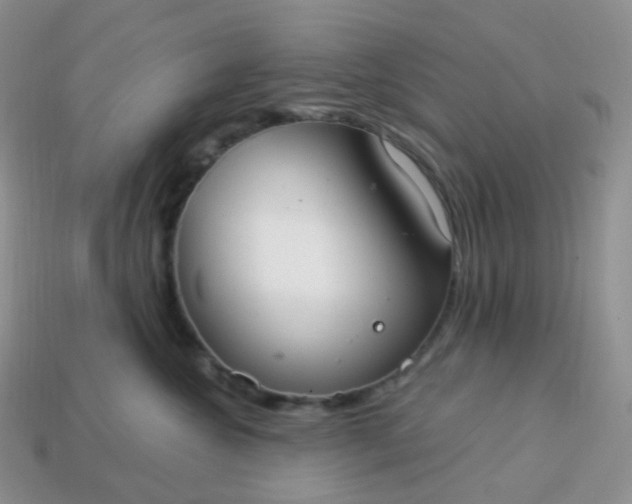 X0000114160572200910221611