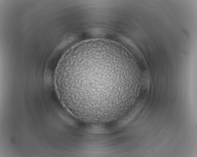 X0000114160573200910221611