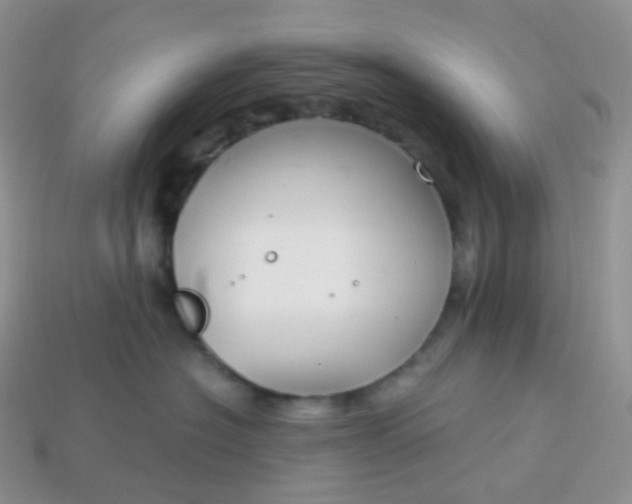 X0000114160574200910221611