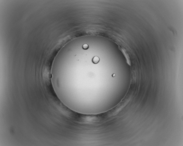 X0000114160575200910221611