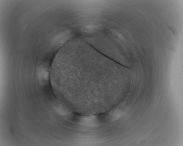 X0000114160576200910221611