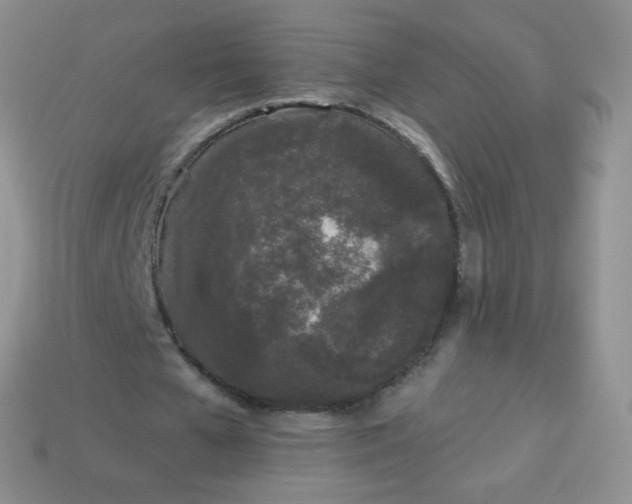 X0000114160577200910221610