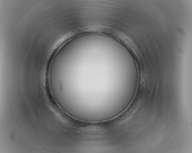 X0000114160578200910221610