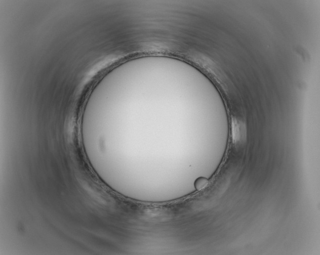 X0000114160579200910221610