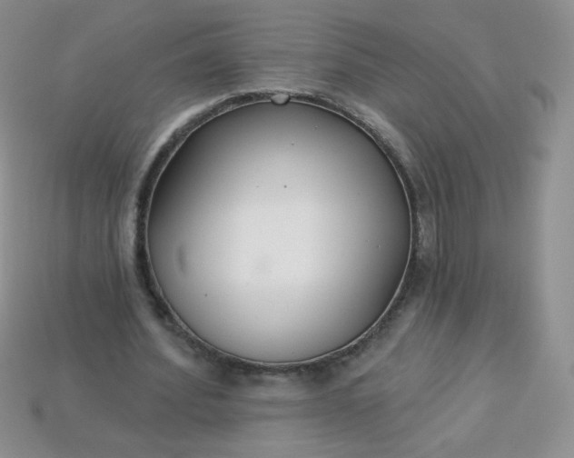 X0000114160580200910221610