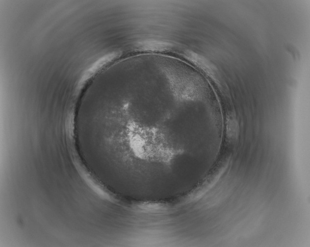 X0000114160581200910221610