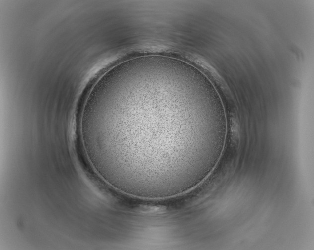 X0000114160582200910221610