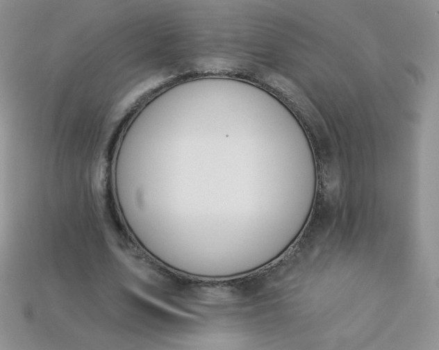 X0000114160583200910221610