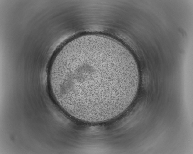 X0000114160584200910221610