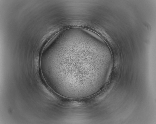 X0000114160585200910221610