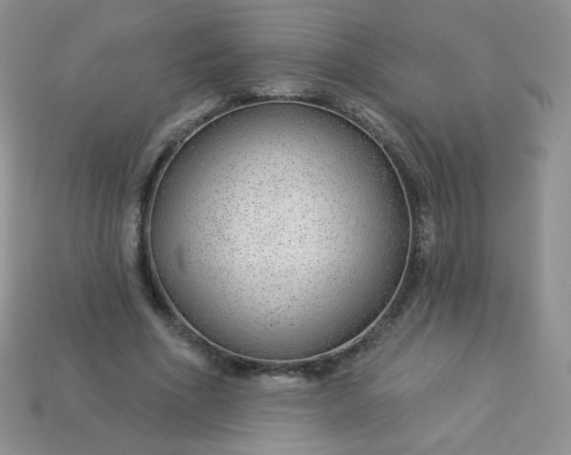 X0000114160586200910221610