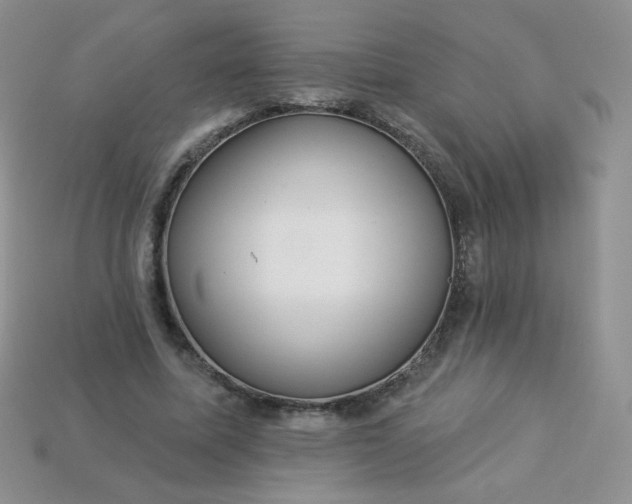 X0000114160587200910221610