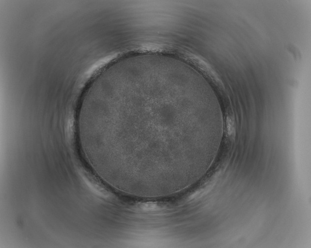 X0000114160588200910221610