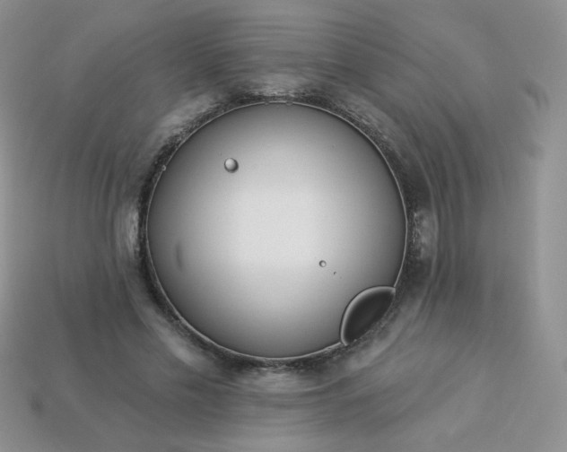 X0000114160589200910221610