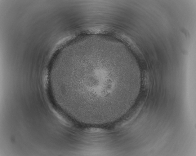 X0000114160590200910221610