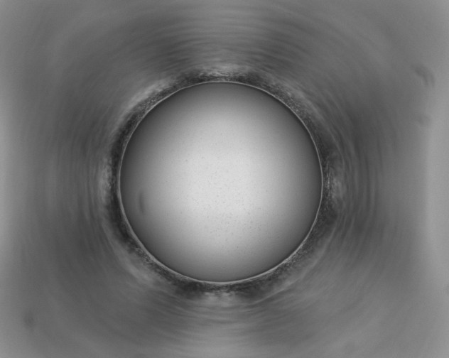 X0000114160591200910221610