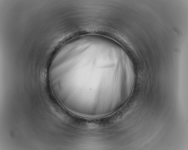 X0000114160592200910221610