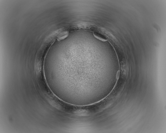 X0000114160593200910221610