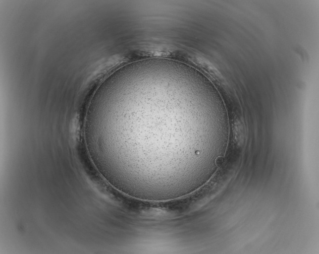 X0000114160594200910221610