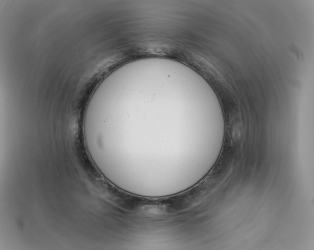 X0000114160595200910221610