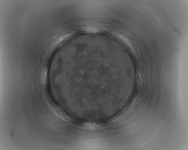 X0000114160596200910221610