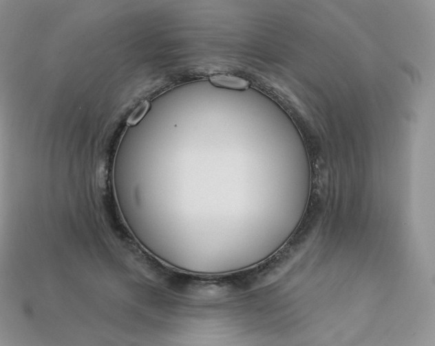 X0000114160597200910221610