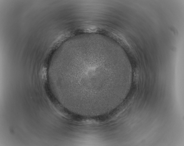 X0000114160598200910221610