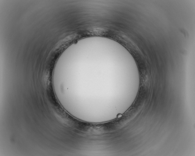 X0000114160599200910221610