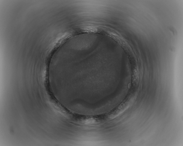 X0000114160600200910221610