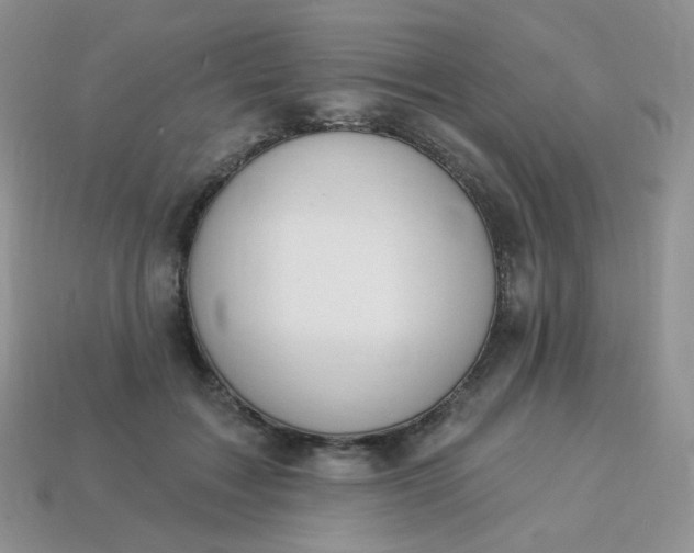 X0000114160603200910221610