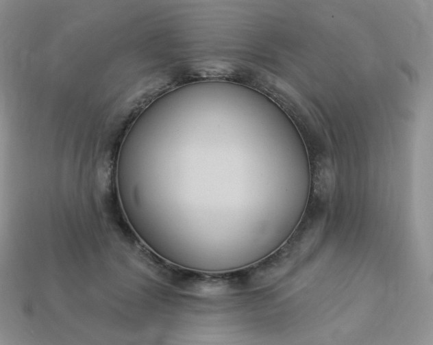 X0000114160604200910221610