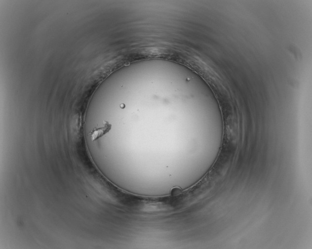 X0000114160605200910221610