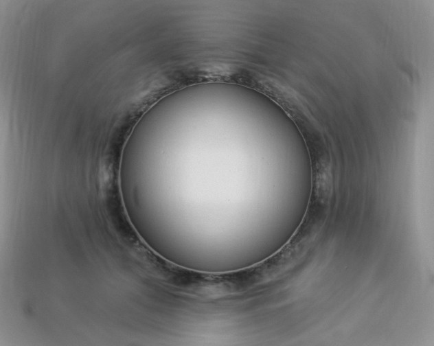 X0000114160608200910221610