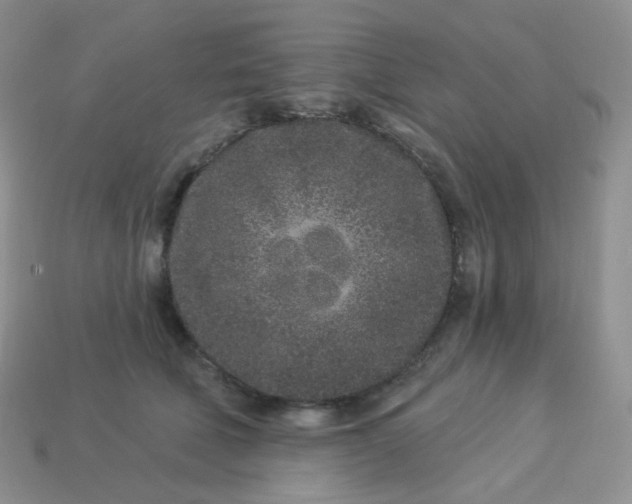 X0000114160610200910221610