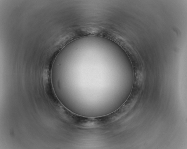 X0000114160612200910221610