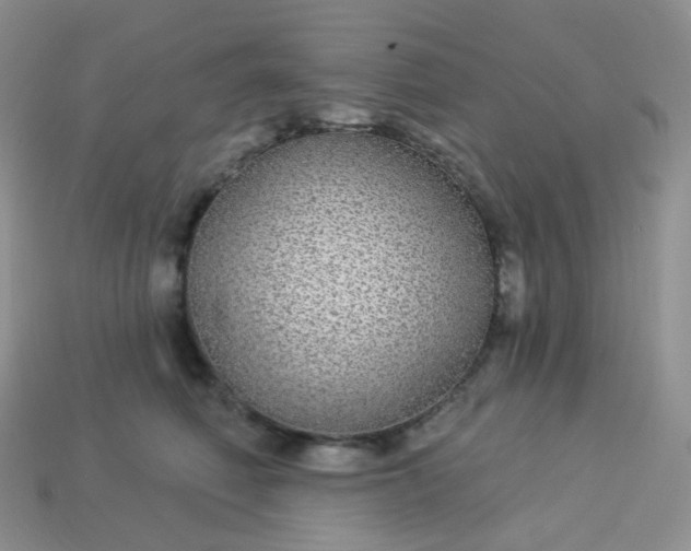 X0000114160614200910221610