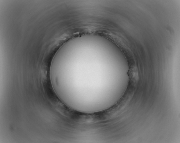 X0000114160615200910221610