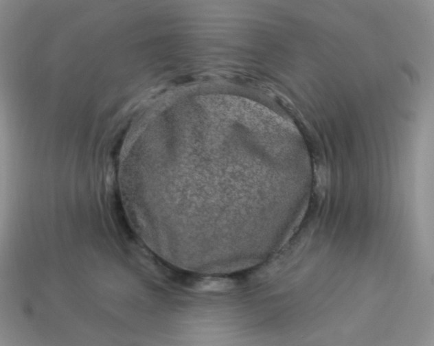 X0000114160617200910221609