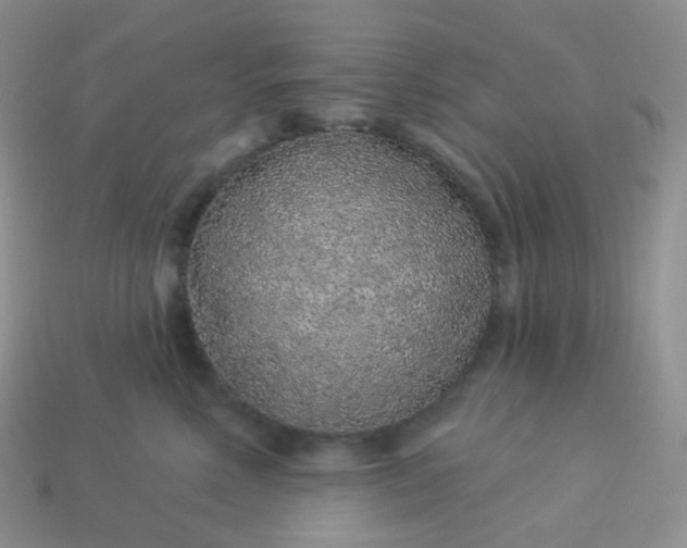 X0000114160618200910221609