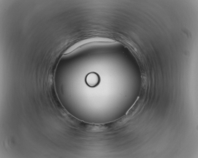 X0000114160621200910221609