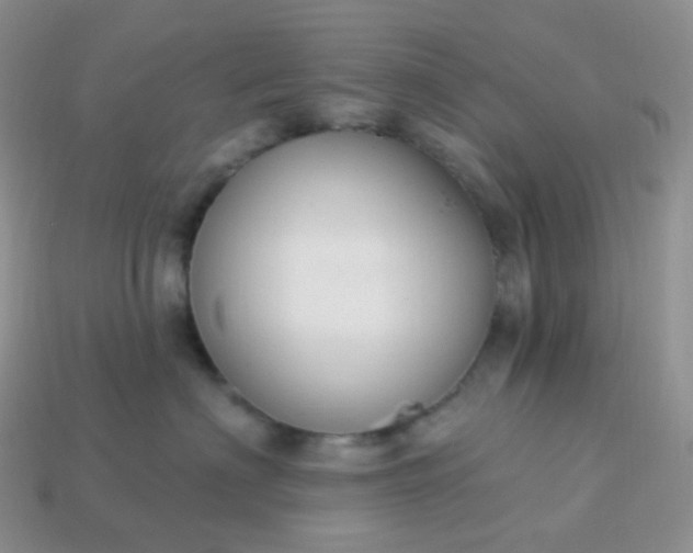 X0000114160622200910221609